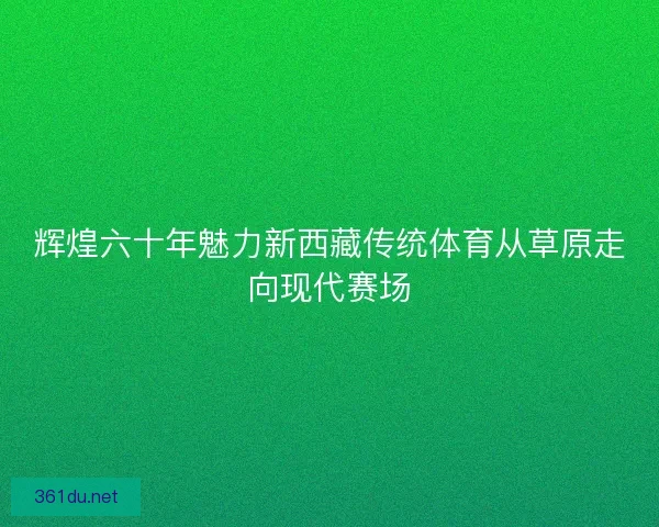 辉煌六十年魅力新西藏传统体育从草原走向现代赛场
