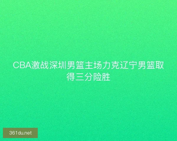 CBA激战深圳男篮主场力克辽宁男篮取得三分险胜